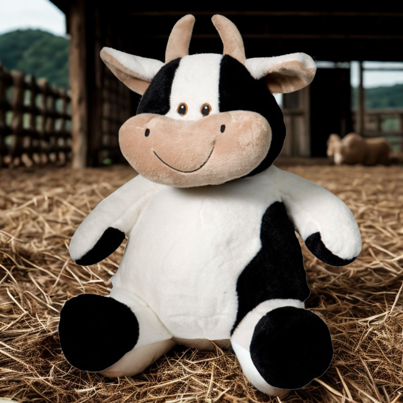 Personalised Baby/Kids Teddy